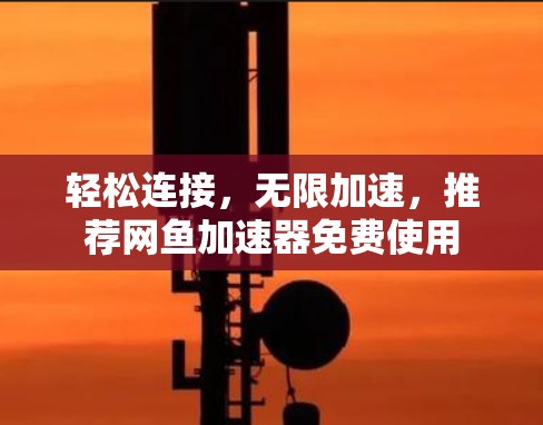 轻松连接，无限加速，推荐网鱼加速器免费使用