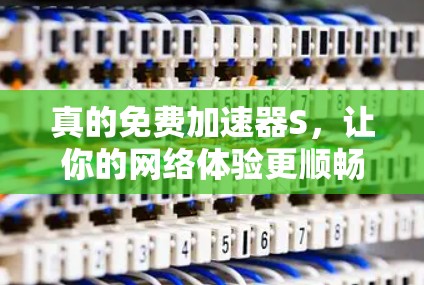 真的免费加速器S，让你的网络体验更顺畅