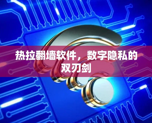 热拉翻墙软件，数字隐私的双刃剑