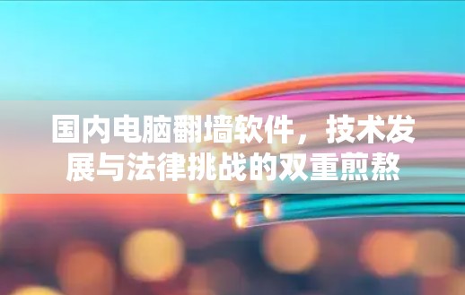 国内电脑翻墙软件，技术发展与法律挑战的双重煎熬