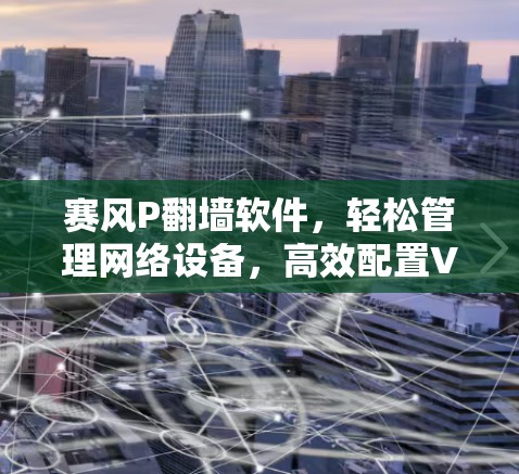 赛风P翻墙软件，轻松管理网络设备，高效配置VPN