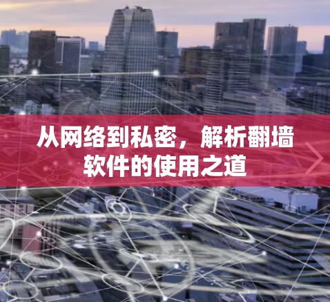 从网络到私密，解析翻墙软件的使用之道