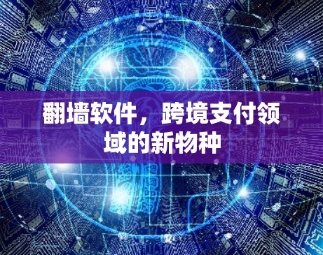 翻墙软件，跨境支付领域的新物种