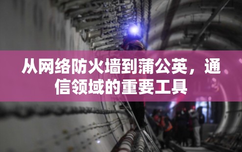 从网络防火墙到蒲公英，通信领域的重要工具