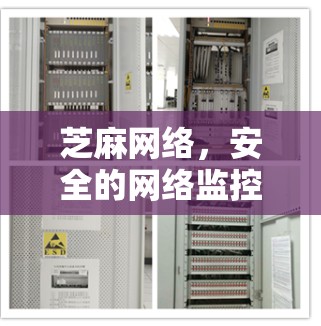 芝麻网络，安全的网络监控与翻墙解决方案