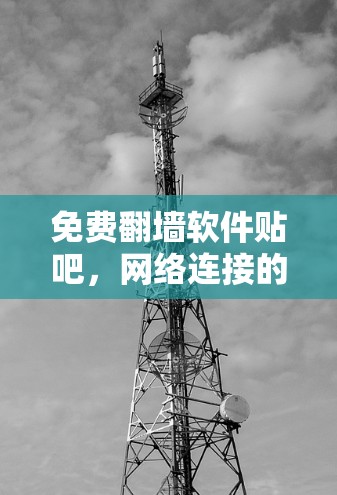 免费翻墙软件贴吧，网络连接的另一种方式