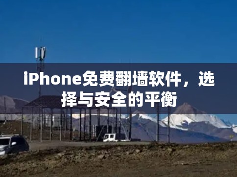 iPhone免费翻墙软件，选择与安全的平衡