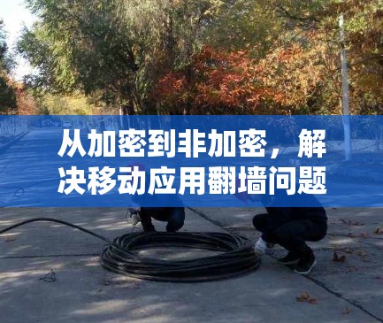 从加密到非加密,解决移动应用翻墙问题的通信解决方案 从加密到非加密,解决移动应用翻墙问题的通信解决方案