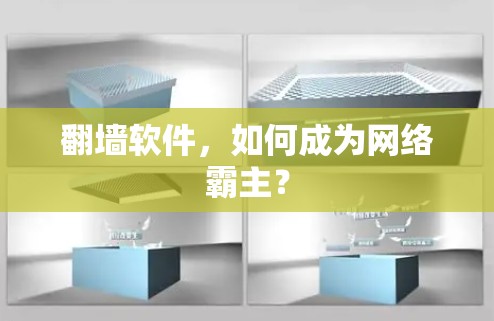 翻墙软件，如何成为网络霸主？