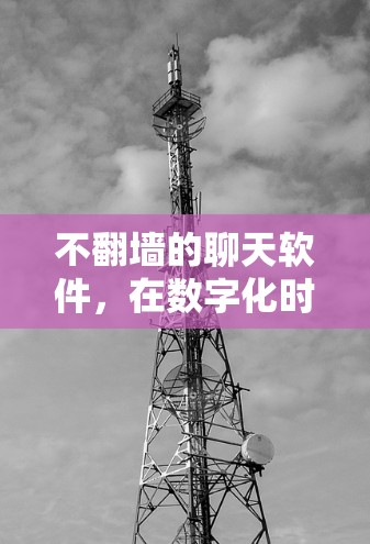 不翻墙的聊天软件，在数字化时代构建安全的社交新范式