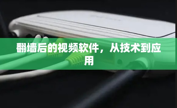 翻墙后的视频软件,从技术到应用 翻墙后的视频软件,从技术到应用