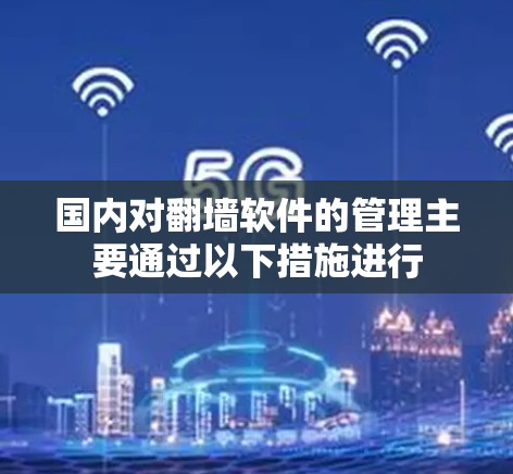 国内对翻墙软件的管理主要通过以下措施进行