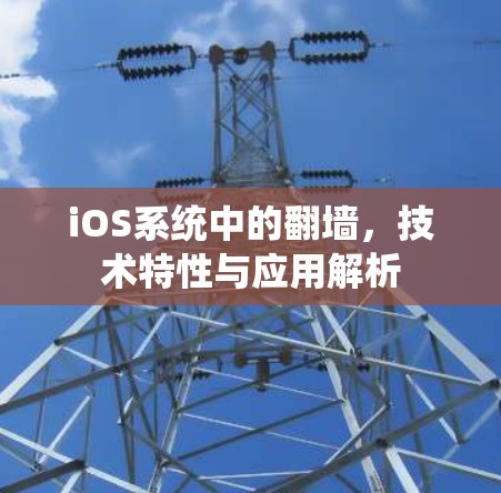 iOS系统中的翻墙，技术特性与应用解析