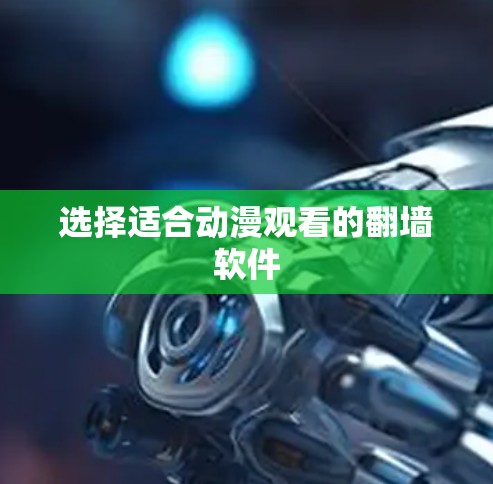 选择适合动漫观看的翻墙软件