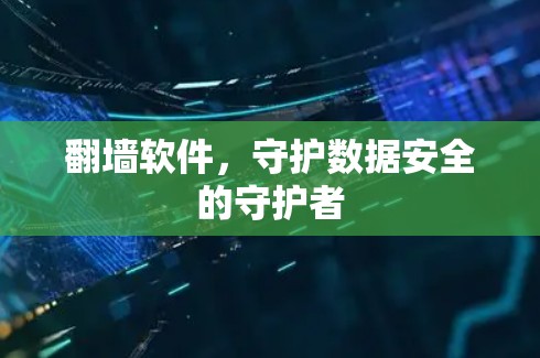 翻墙软件，守护数据安全的守护者