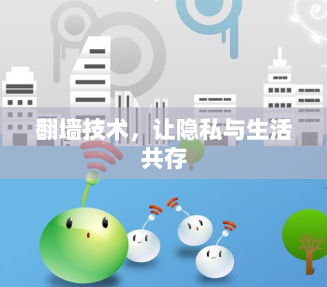 翻墙技术，让隐私与生活共存