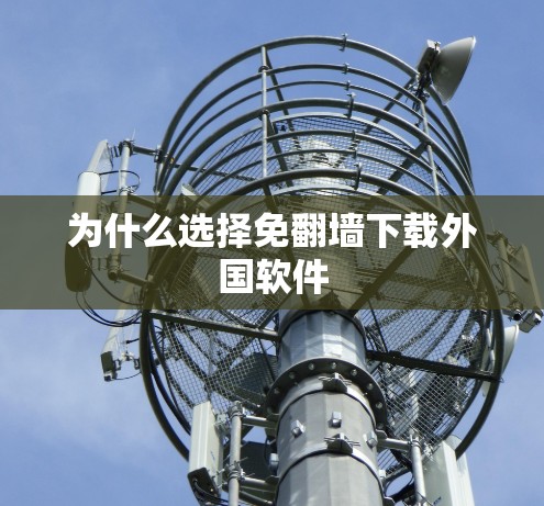 为什么选择免翻墙下载外国软件