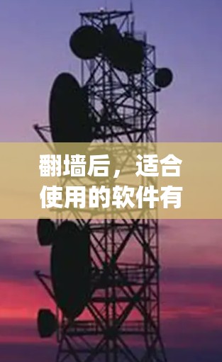 翻墙后，适合使用的软件有W3Flip、Netoretention和Netaverse。以下是对这些软件的详细分析