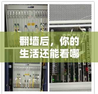 翻墙后，你的生活还能看哪些软件？