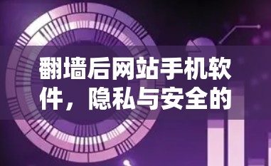 翻墙后网站手机软件，隐私与安全的双重困境