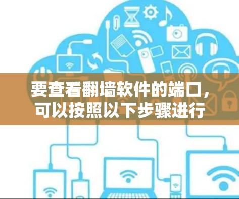 要查看翻墙软件的端口，可以按照以下步骤进行