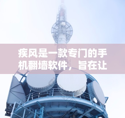 疾风是一款专门的手机翻墙软件，旨在让用户将手机上的视频、照片等内容复制到电脑上，从而方便在电脑上浏览和保存这些文件。以下是关于疾风的详细信息
