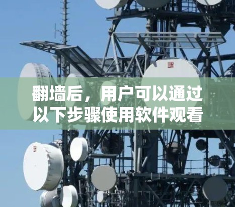 翻墙后，用户可以通过以下步骤使用软件观看电影和电视剧