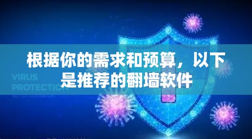 根据你的需求和预算，以下是推荐的翻墙软件