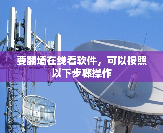 要翻墙在线看软件，可以按照以下步骤操作