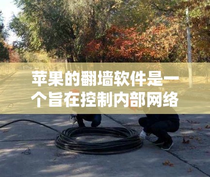 苹果的翻墙软件是一个旨在控制内部网络环境的工具，允许用户访问苹果内部服务器，防止网络攻击。以下是对苹果翻墙软件的系统性介绍