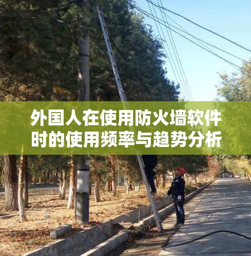 外国人在使用防火墙软件时的使用频率与趋势分析
