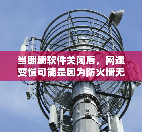 当翻墙软件关闭后，网速变慢可能是因为防火墙无法正常访问外部服务器，导致网络流量被阻止，从而影响了网速。以下是具体步骤和解决方法