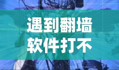 遇到翻墙软件打不开的问题，可以按照以下步骤进行解决