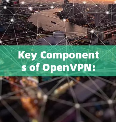 Key Components of OpenVPN:
