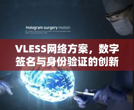 VLESS网络方案，数字签名与身份验证的创新解决方案