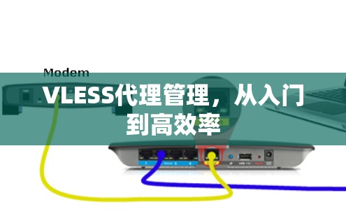 VLESS代理管理，从入门到高效率
