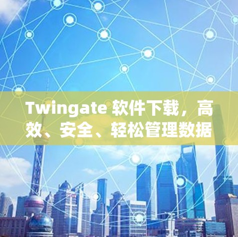 Twingate 软件下载，高效、安全、轻松管理数据