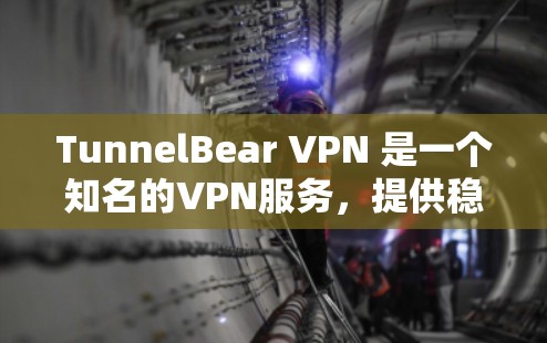 TunnelBear VPN 是一个知名的VPN服务，提供稳定、安全的VPN体验。它基于中国网络空间安全局（CNSA）的协议，旨在为用户提供安全、可靠的网络连接
