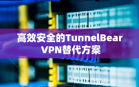 高效安全的TunnelBear VPN替代方案