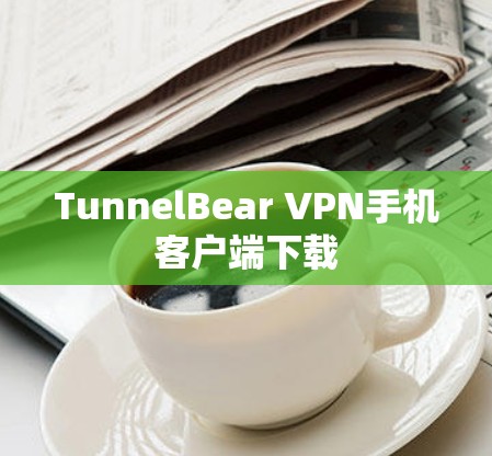 TunnelBear VPN手机客户端下载