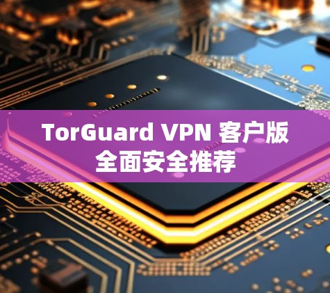 TorGuard VPN 客户版全面安全推荐