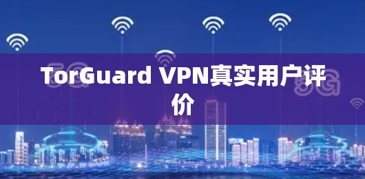 TorGuard VPN真实用户评价