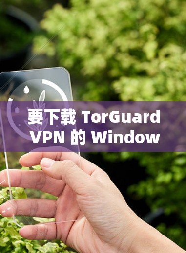 要下载 TorGuard VPN 的 Windows 版本，以下是详细的步骤