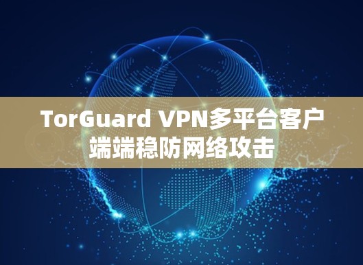 TorGuard VPN多平台客户端端稳防网络攻击