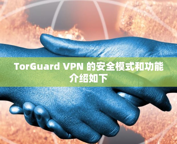 TorGuard VPN 的安全模式和功能介绍如下