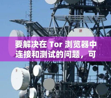 要解决在 Tor 浏览器中连接和测试的问题，可以按照以下步骤进行