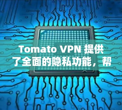Tomato VPN 提供了全面的隐私功能，帮助用户更好地保护他们的隐私和安全。以下是其主要的隐私设置