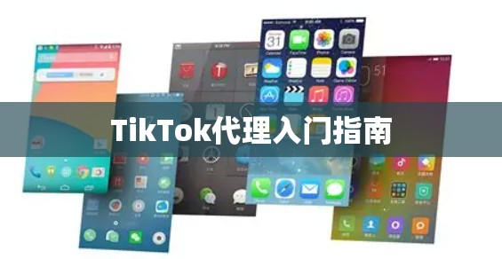TikTok代理入门指南