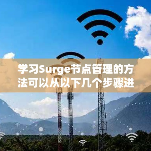 学习Surge节点管理的方法可以从以下几个步骤进行 学习Surge节点管理的方法可以从以下几个步骤进行