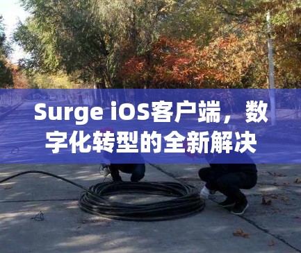 Surge iOS客户端，数字化转型的全新解决方案